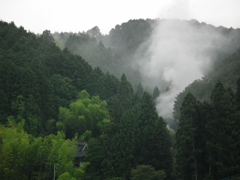 奈良　高円山