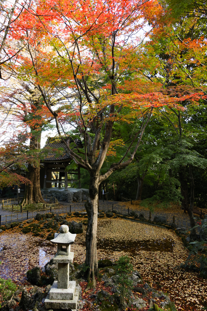 山寺庭園