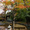 山寺庭園