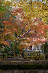紅葉名刹