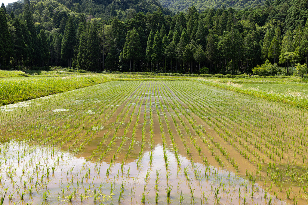 日本の原風景