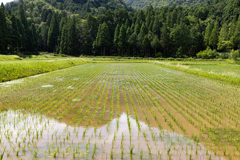 日本の原風景