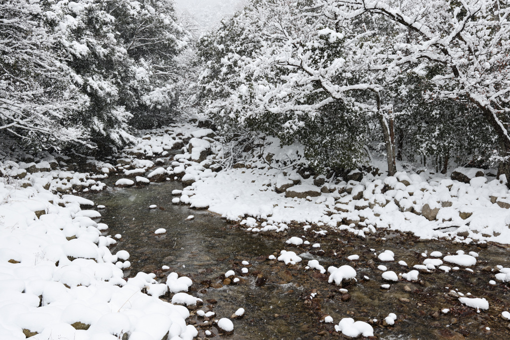 雪化粧