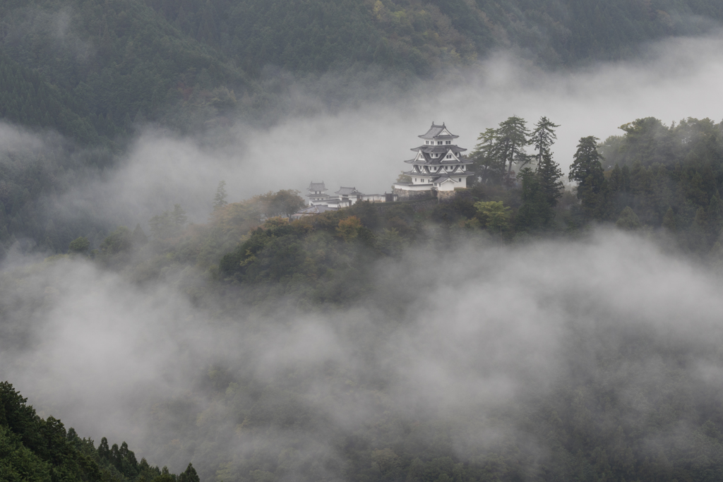 郡上八幡城