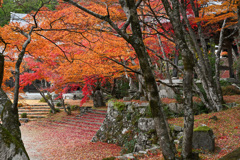 東光寺