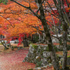 東光寺