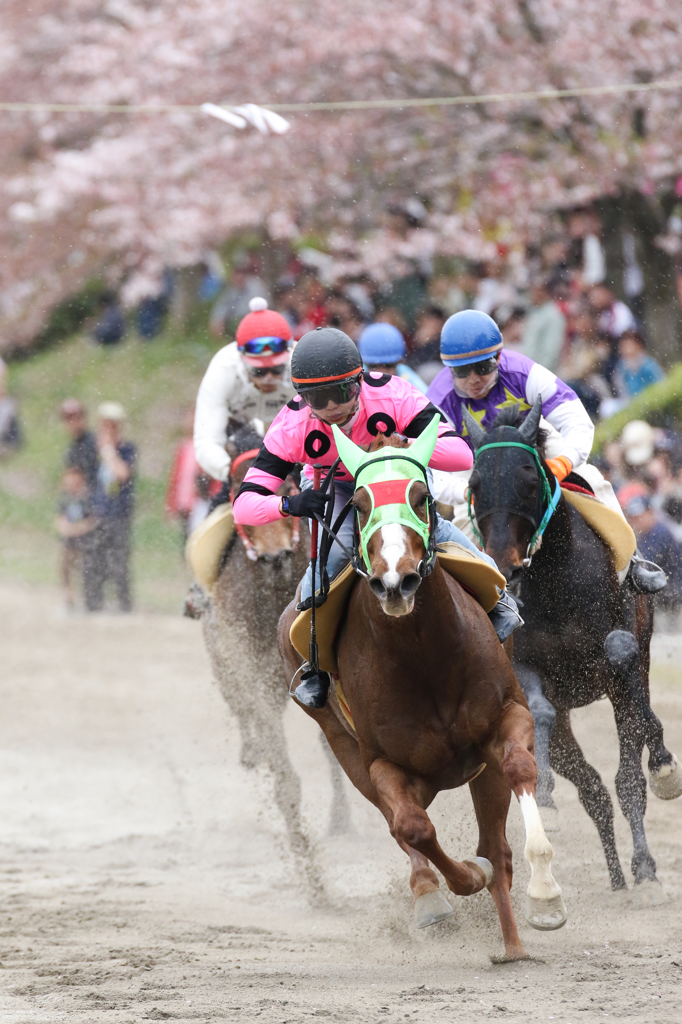 春競馬　1