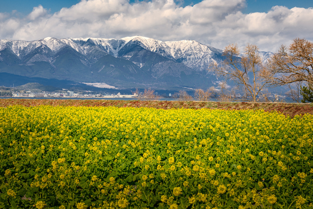 余寒の向こうに