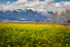 余寒の向こうに
