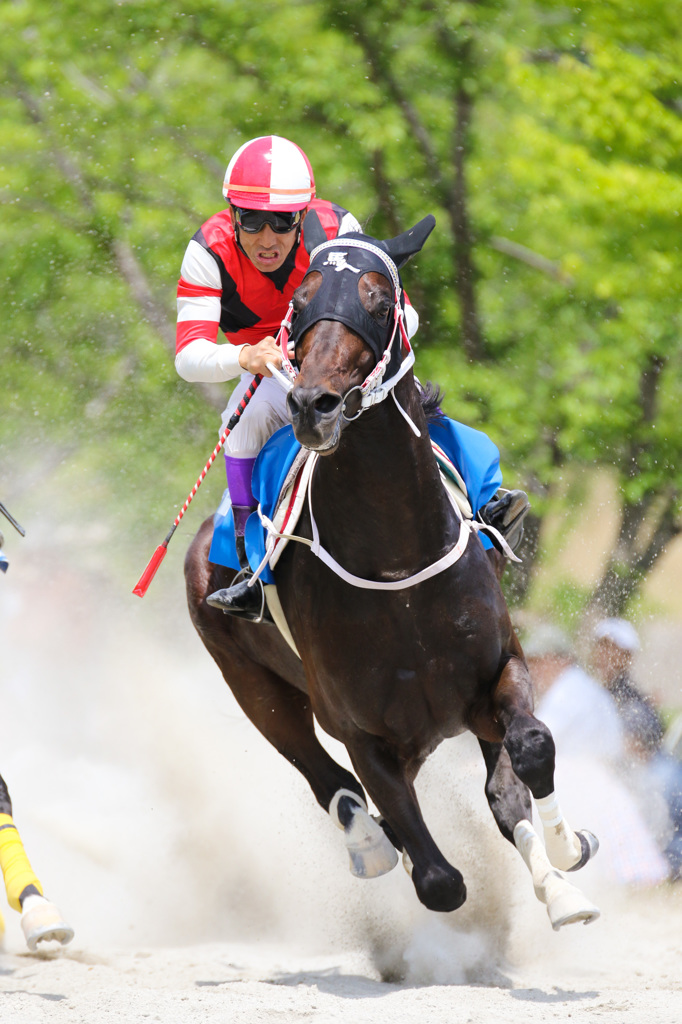 春の草競馬