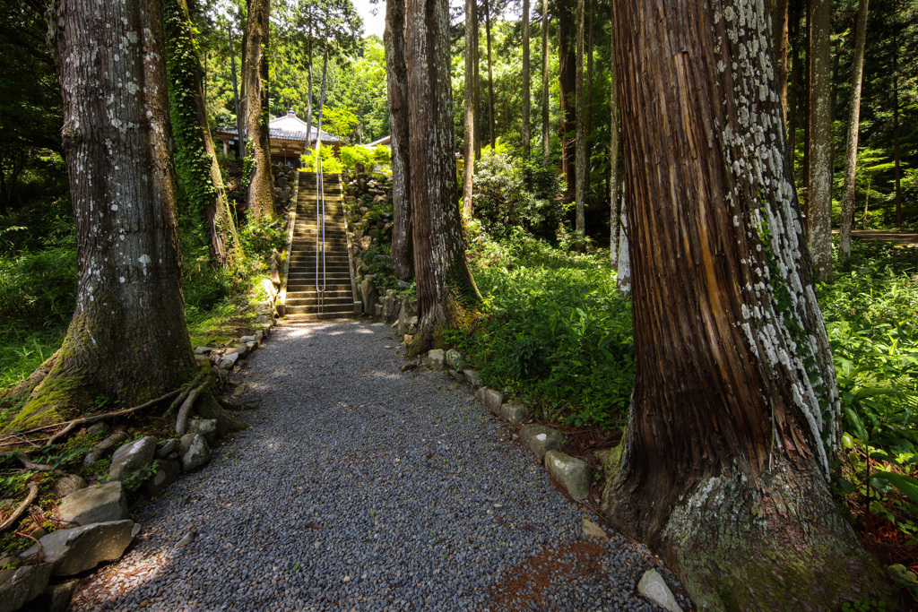 山寺の参道