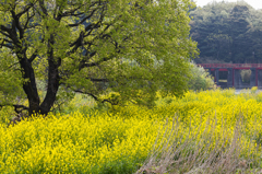 2014年を振り返って