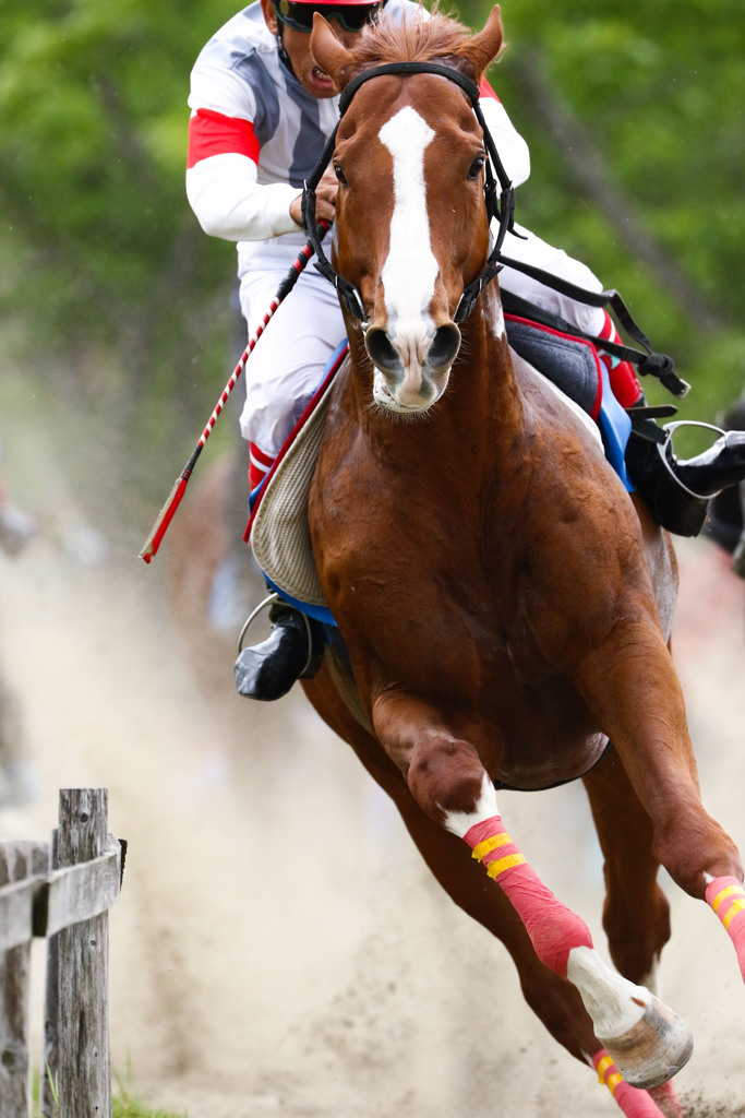 競馬