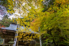 古寺を覆う黄金の衣