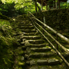 Green stairs