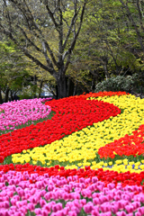 色彩の川