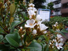 DSC00188