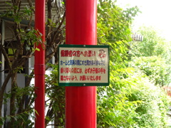 DSC01047