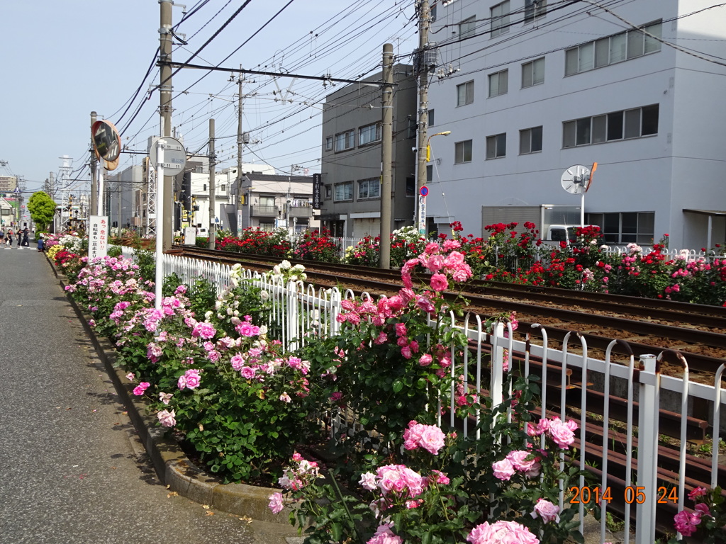 DSC00454