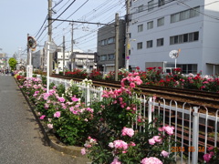 DSC00454