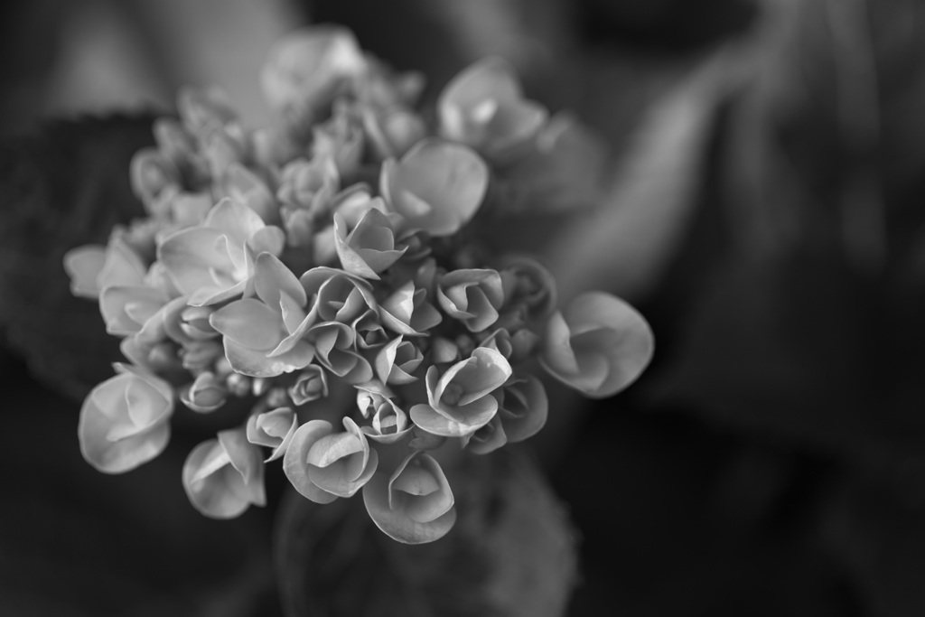 雨の多くなる時期の始まり