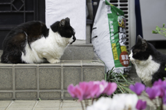 あっちむいて・・・