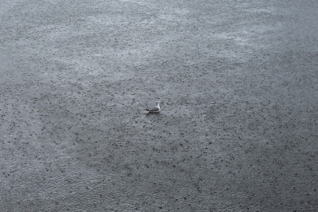 突然の雨