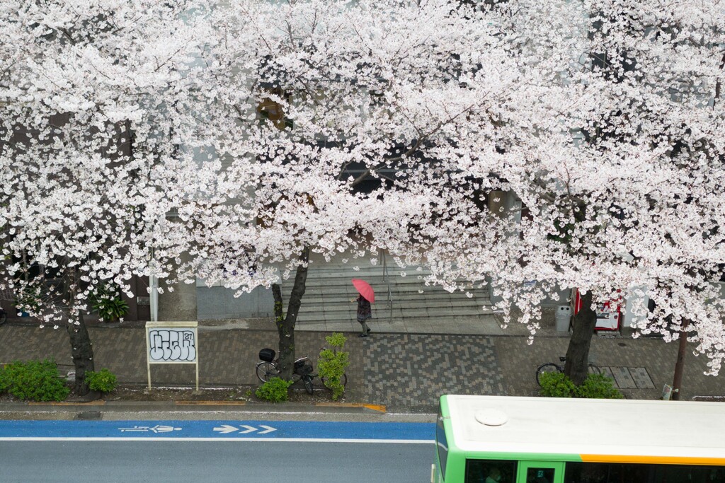 雨の日　その１