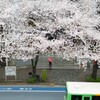 雨の日　その１