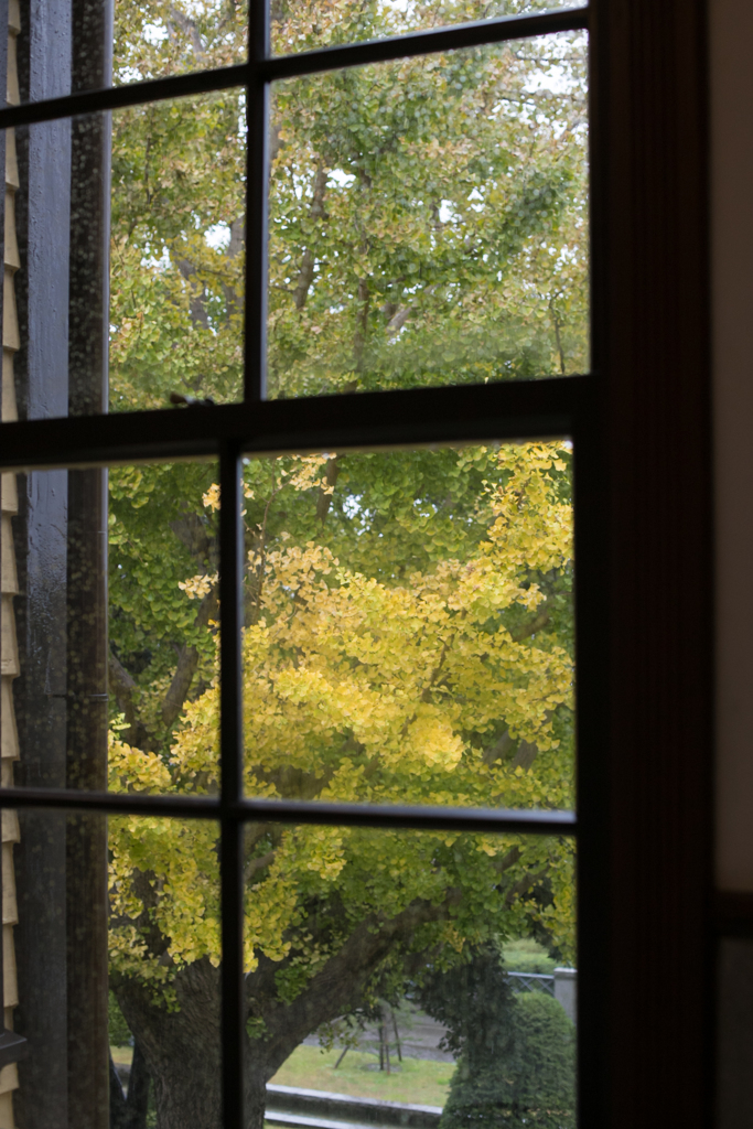 窓からの秋