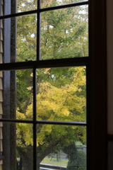 窓からの秋