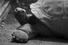 視線あいました　その５