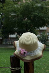 雨に濡れた忘れもの