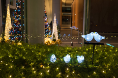 ツリーの外では