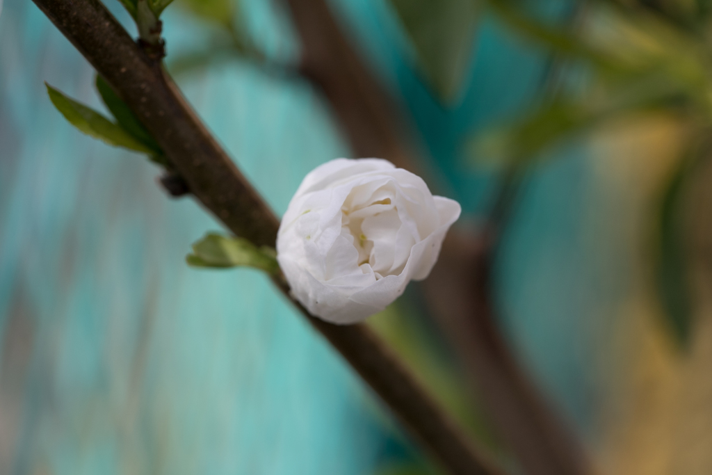 えっとぉ・・・