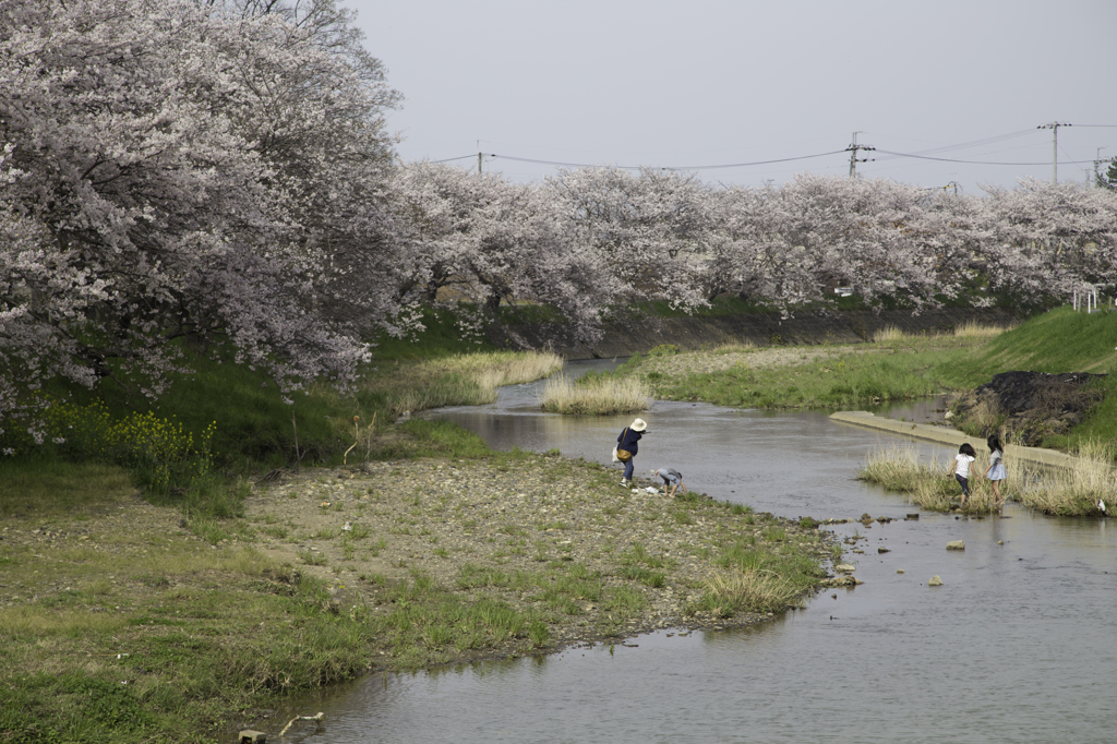 水切り
