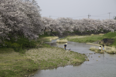 水切り