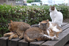 くっついてました　その３