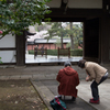 どんな様子ですか