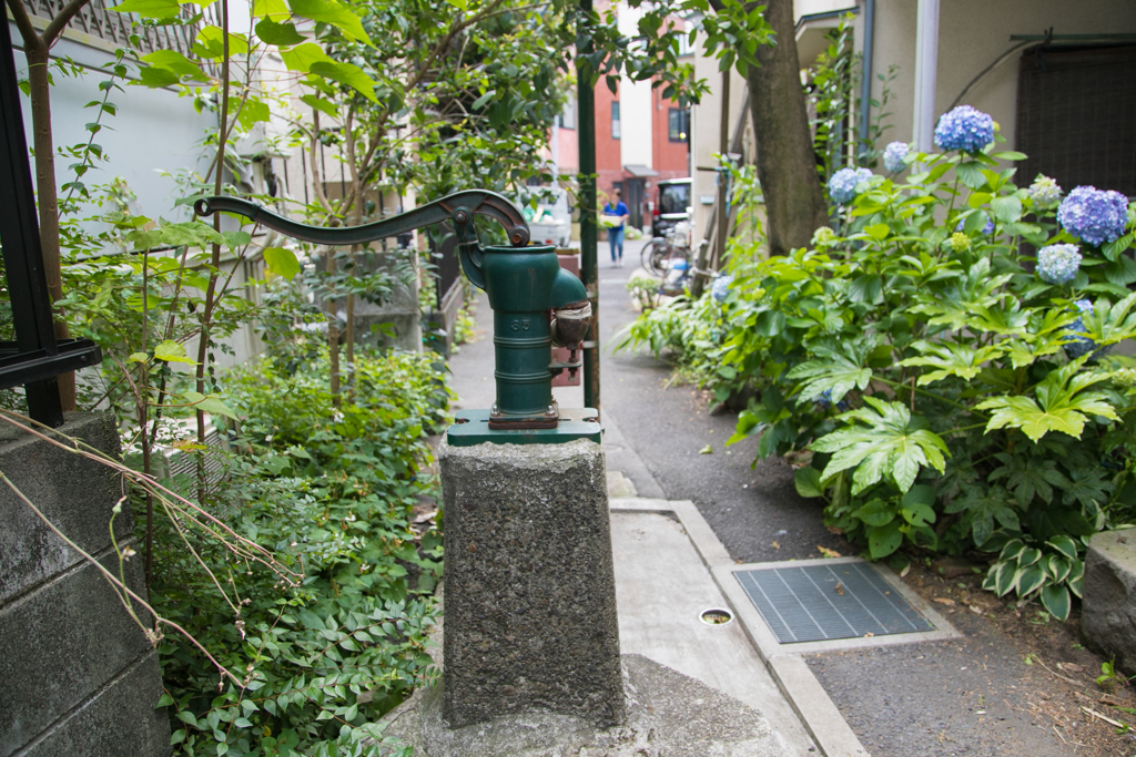 道に迷っていたら