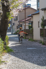 掴めるかな