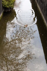 着水
