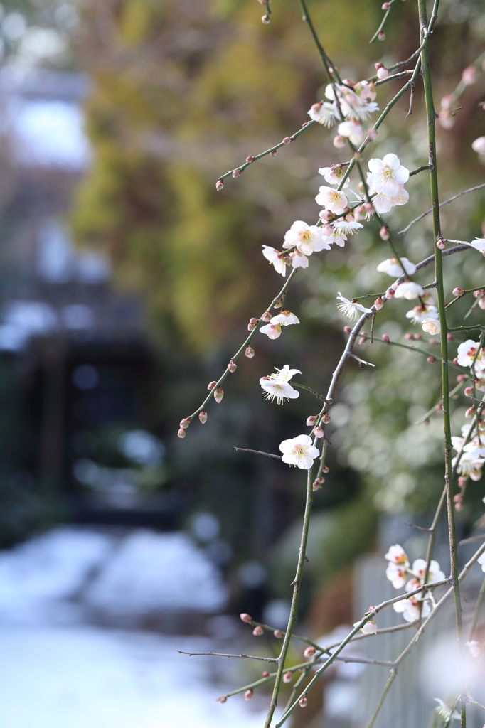 2月