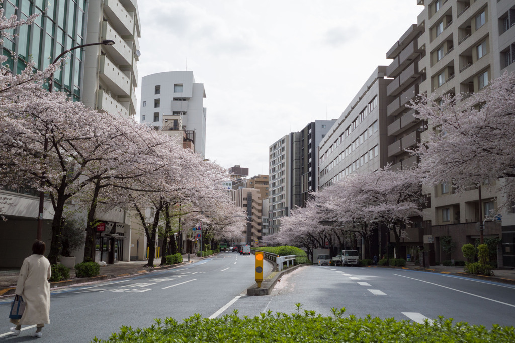 明治通り