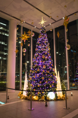 クリスマスツリー