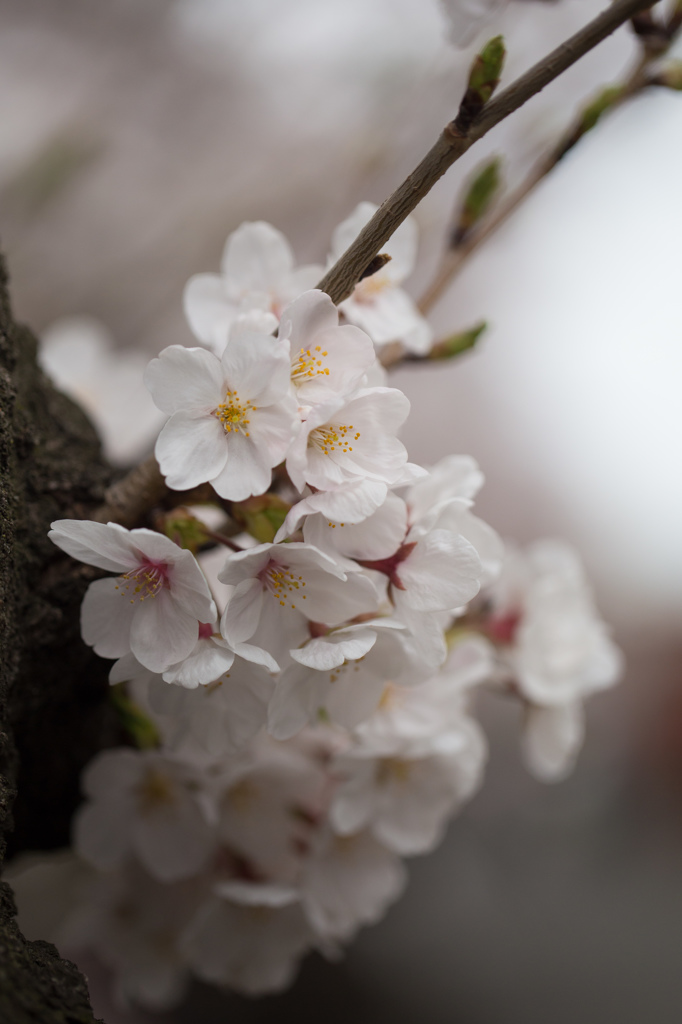 雨が降りだす前に・・・