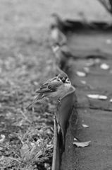 視線あいました　その２