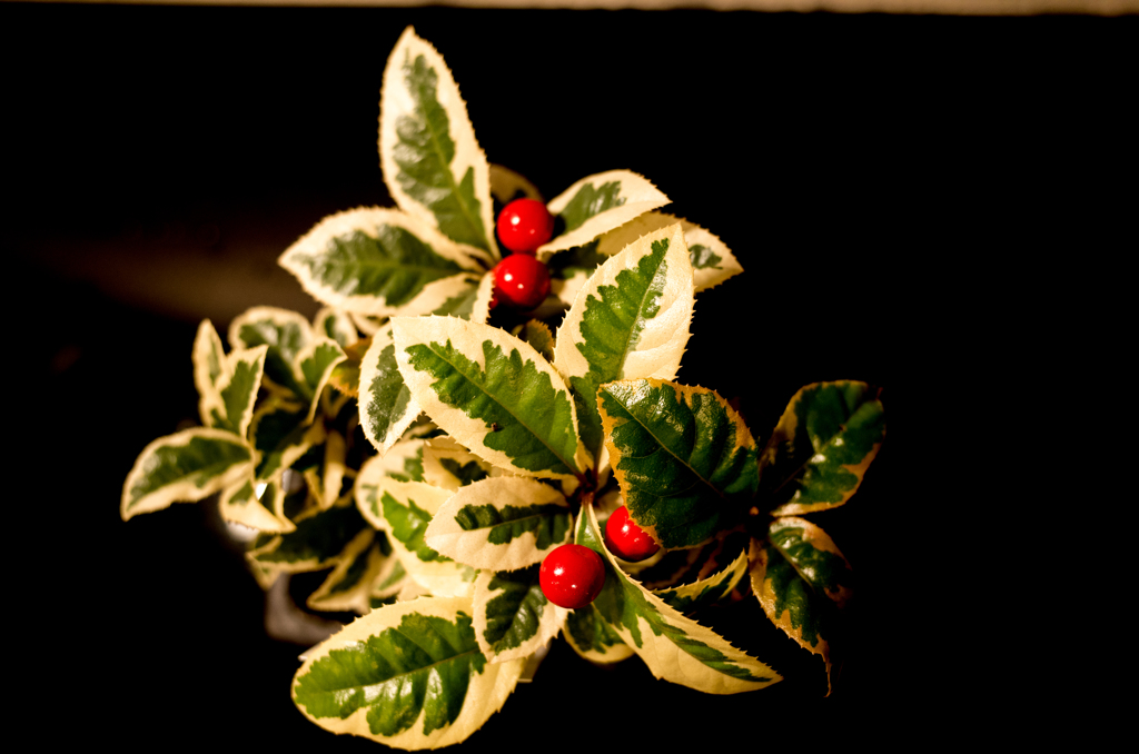 班入りやぶこうじ