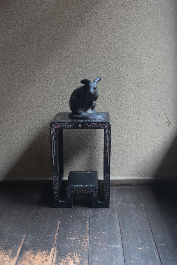 黒ウサギ