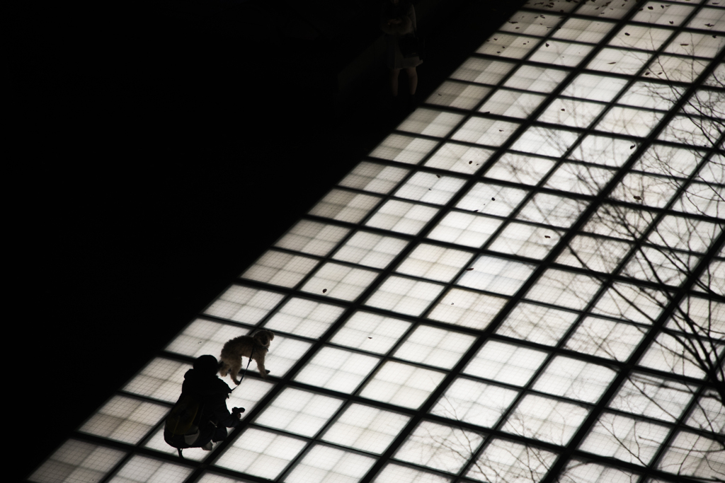 パパ、まだかな・・・。